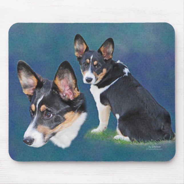 Walesisk Corgi Musmatta (Framsidan)
