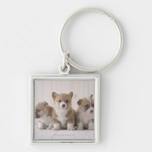 Walesisk Corgi tre Fyrkantig Silverfärgad Nyckelring