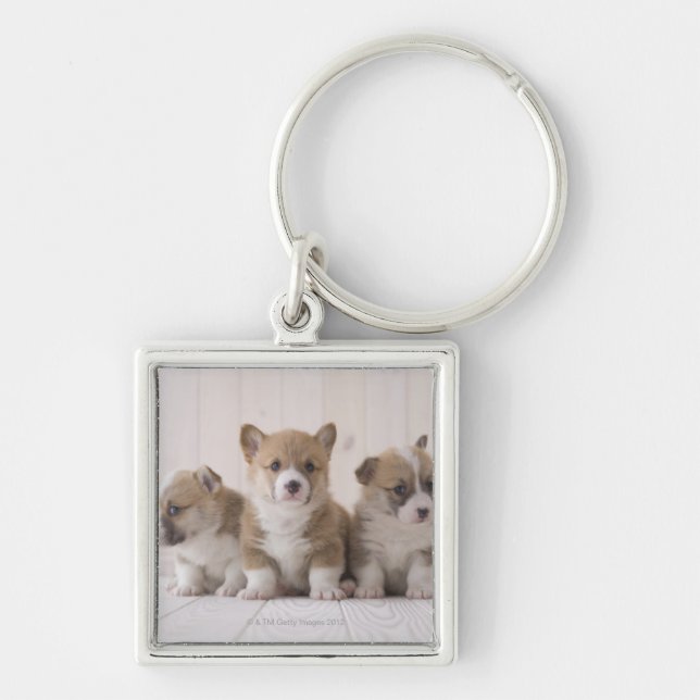 Walesisk Corgi tre Fyrkantig Silverfärgad Nyckelring (Framsidan)