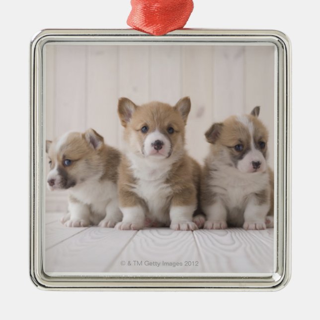 Walesisk Corgi tre Julgransprydnad Metall (Framsidan)