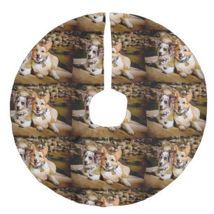 Walesisk Corgijulgrankjol Julgransmatta Fusklinne