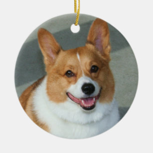 Walesisk Corgiprydnad Julgransprydnad Keramik