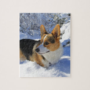 Walesisk Corgisnödag Pussel