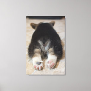 Walesisk Corgivalp 2 för Pembroke Canvastryck