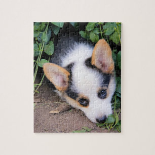 Walesisk Corgivalp för Pembroke Pussel