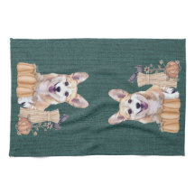 Walesisk Corgivalp i höst