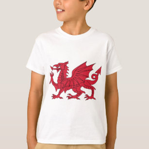 Walesisk drake t-shirt