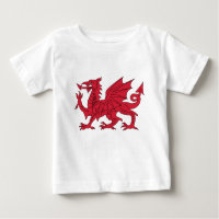 Walesisk drake