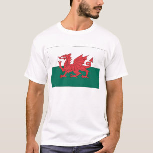 Walesisk flagga t shirt