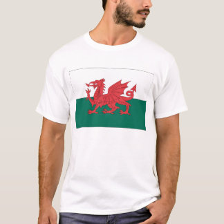 Walesisk flagga t shirt