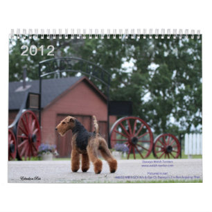 Walesisk kalender för Terrier 2012 vid Darwyn