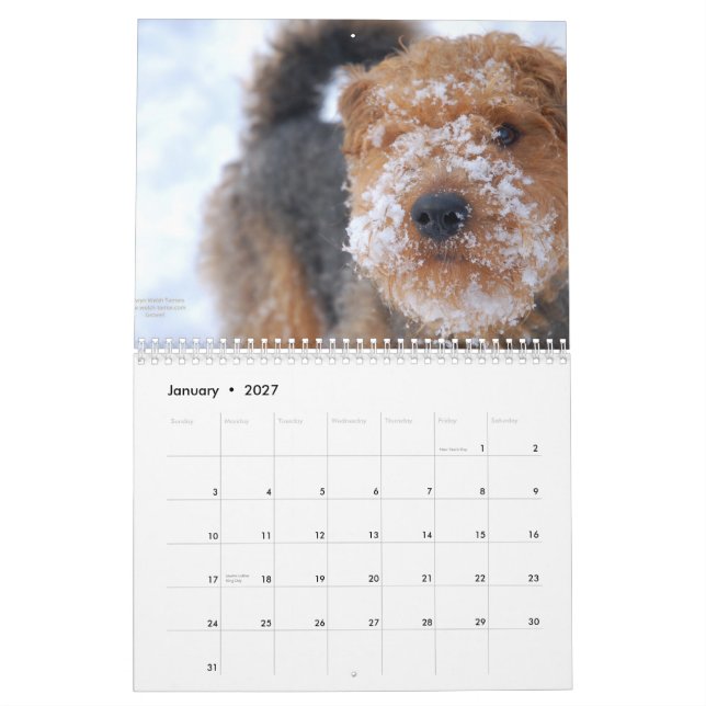Walesisk kalender för Terrier 2012 vid Darwyn (Jan 2027)