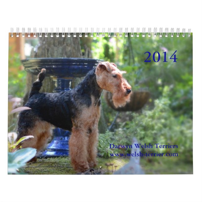 Walesisk kalender för Terrier 2014 vid Darwyn (Omslag)