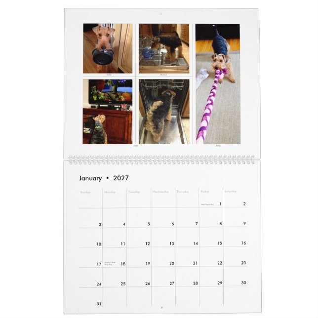 Walesisk kalender för Terrier 2015 vid SBWT (Jan 2027)