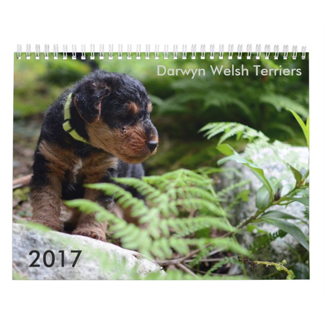 Walesisk kalender för Terrier 2017 vid Darwyn (Omslag)