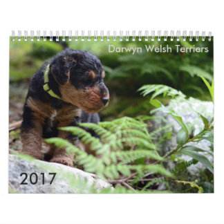 Walesisk kalender för Terrier 2017 vid Darwyn