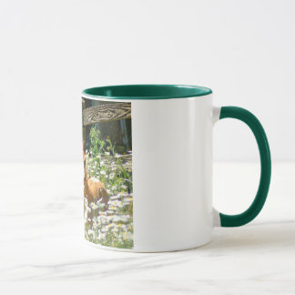 Walesisk ponnymugg mugg