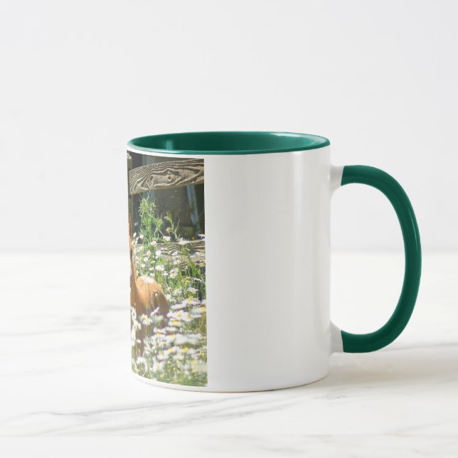 Walesisk ponnymugg mugg (Höger)