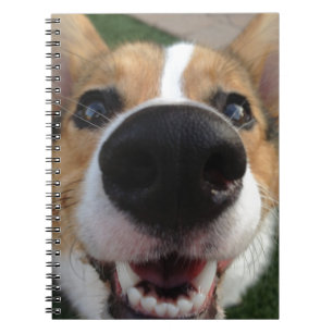 Walesisk samling för Corgihundnäsa Anteckningsbok Med Spiral