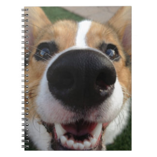 Walesisk samling för Corgihundnäsa Anteckningsbok Med Spiral