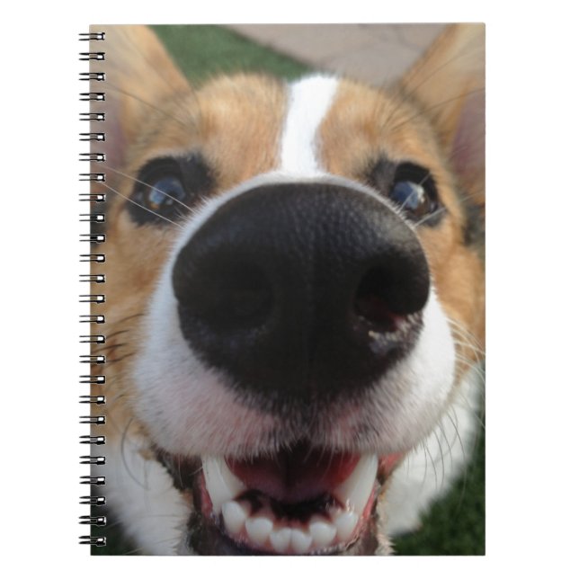 Walesisk samling för Corgihundnäsa Anteckningsbok Med Spiral (Framsidan)