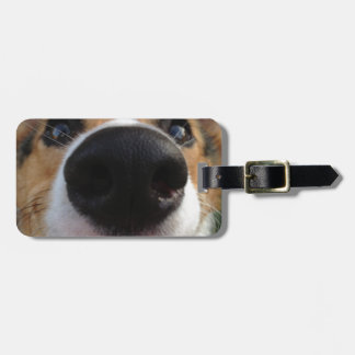 Walesisk samling för Corgihundnäsa Bagagebricka