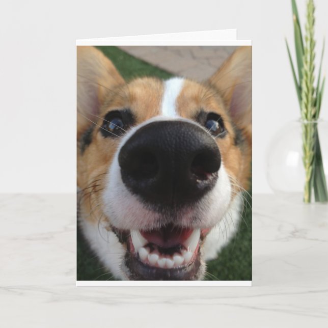 Walesisk samling för Corgihundnäsa Kort (Framsida)