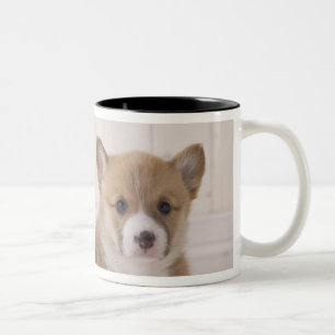 Walesisk sitta för Corgi två Två-Tonad Mugg