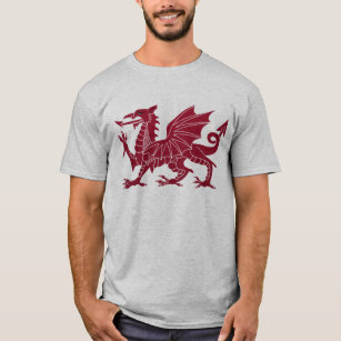 Walesisk skjorta för drake Y Ddraig Goch Tee Shirt