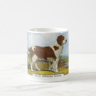 Walesisk SpringerSpaniel Kaffemugg