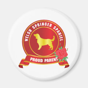 Walesisk SpringerSpaniel Magnet