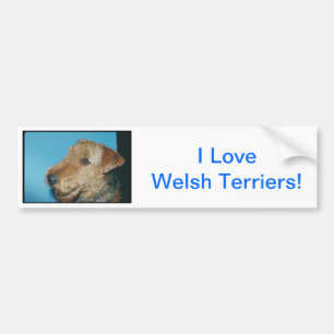 Walesisk Terrier Bildekal