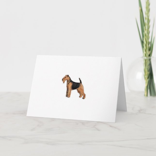 Walesisk Terrier Kort (Framsida)