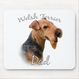 Walesisk Terrierpappa 2 Musmatta