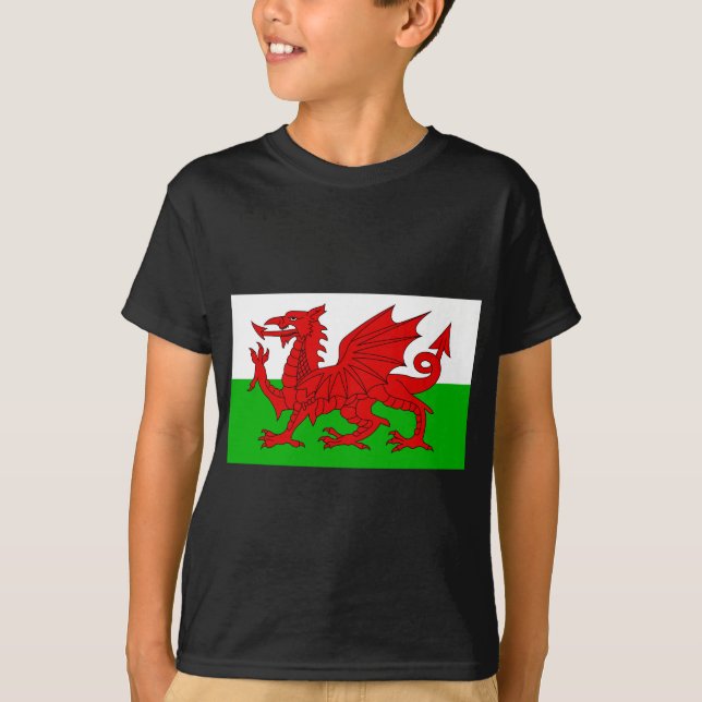 Walesisk/Wales flagga - högkvalitativa Cymru T Shirt (Framsida)