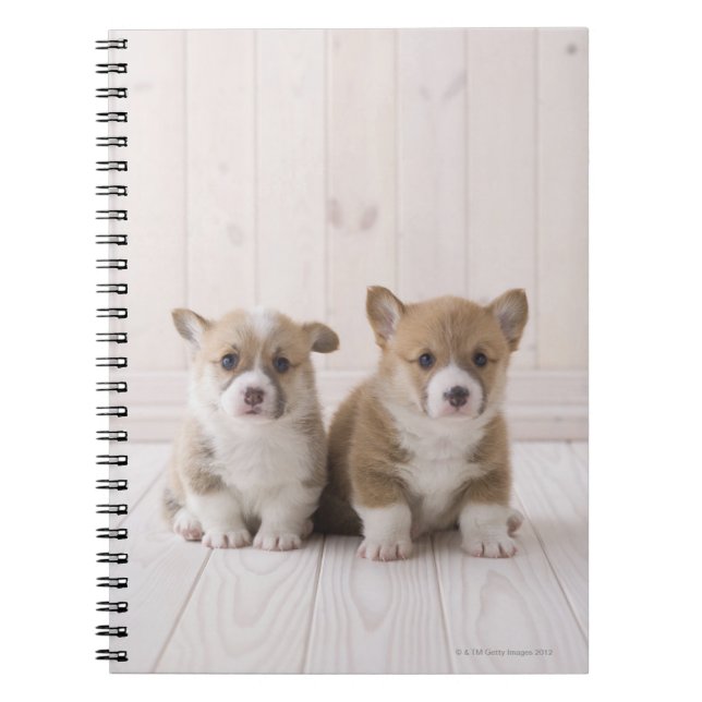 Walesiska Corgivalpar Anteckningsbok Med Spiral (Framsidan)