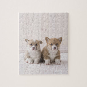 Walesiska Corgivalpar Pussel