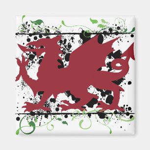 Walesiska drakemagneter magnet