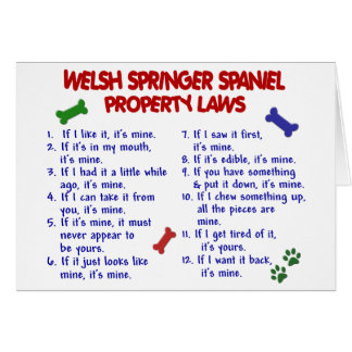 WALESISKA lagar 2 för egendom för SPRINGERSPANIEL Hälsningskort
