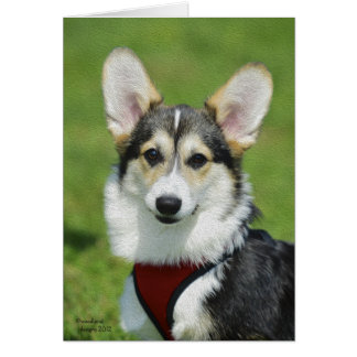 Walesiskt Corgikort för Pembroke Hälsningskort