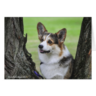 Walesiskt Corgikort för Pembroke Hälsningskort