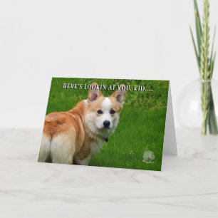 Walesiskt Corgikort för Pembroke Kort