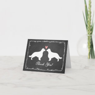 Walesiskt tack för SpringerSpaniels (långa svanar) Kort