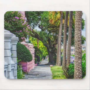 Walk Along Rainbow Row Musmatta