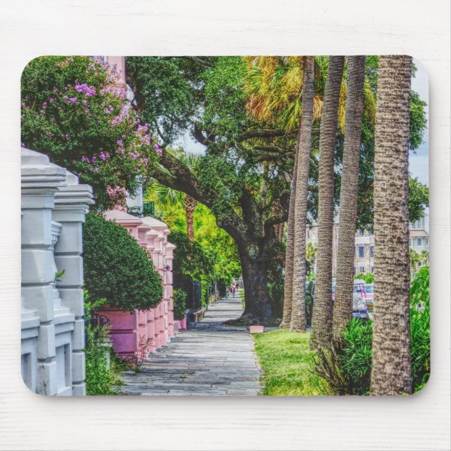 Walk Along Rainbow Row Musmatta (Framsidan)