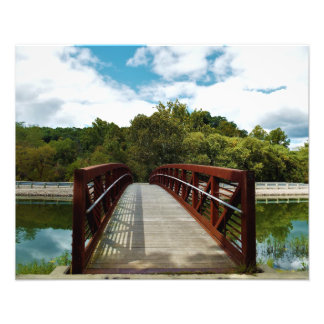 walk bridge fototryck