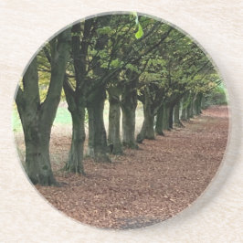 Walk i skogen underlägg