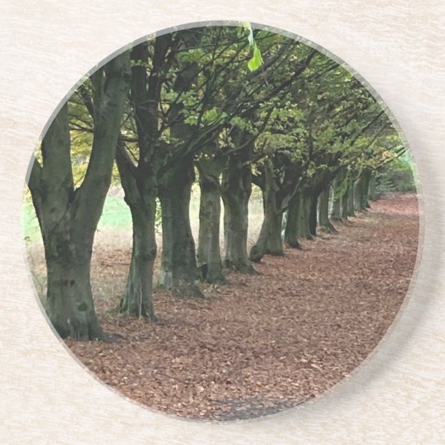 Walk i skogen underlägg (Framsidan)