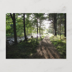 "Walk nära floden" Postkort för Northumberland Vykort
