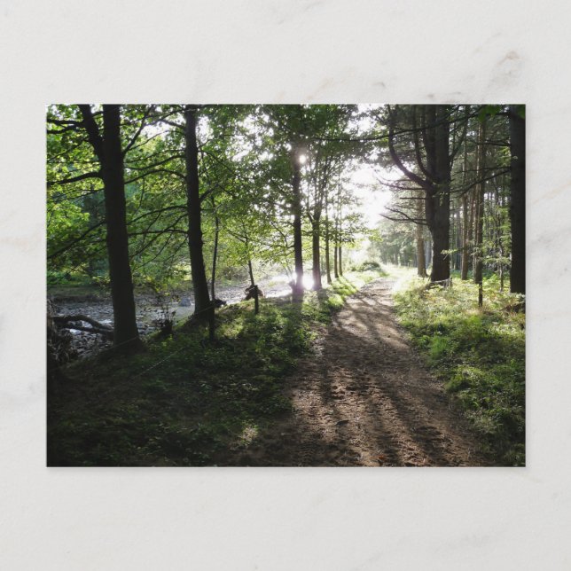 "Walk nära floden" Postkort för Northumberland Vykort (Framsida)